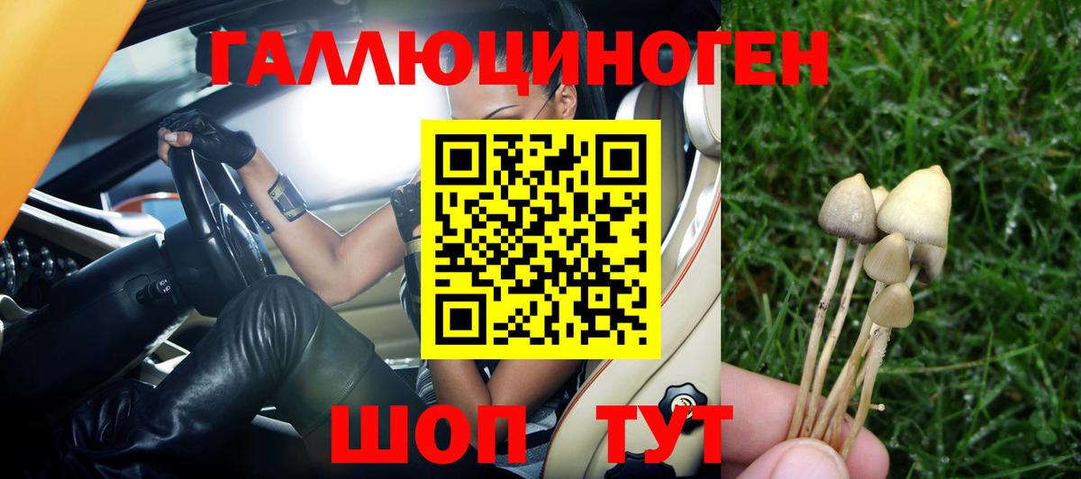 купить наркоту  Галлюциногенные грибы GOLDEN TEACHER  Вход с VPN  Кубинка 